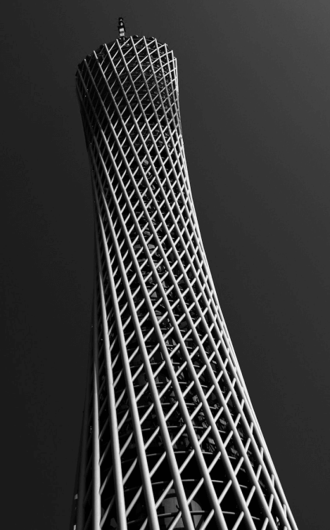 公司名称leaf network company在优化管理里修改